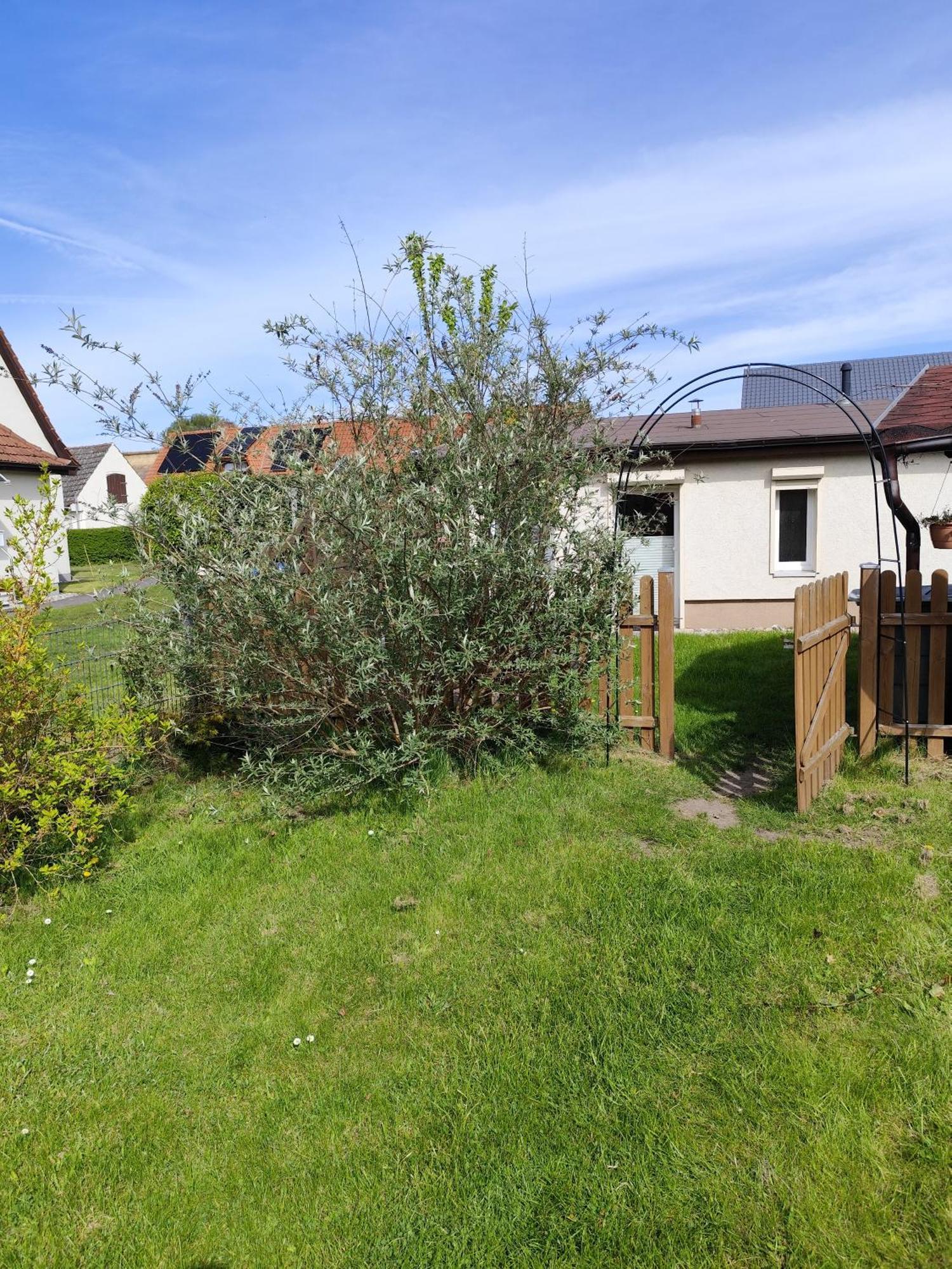 Sonnengarten Uckeritz Exteriér fotografie